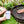 Load image into Gallery viewer, MEAT-IT PLUS Smart Bluetooth Thermometer for Perfect Cooking
